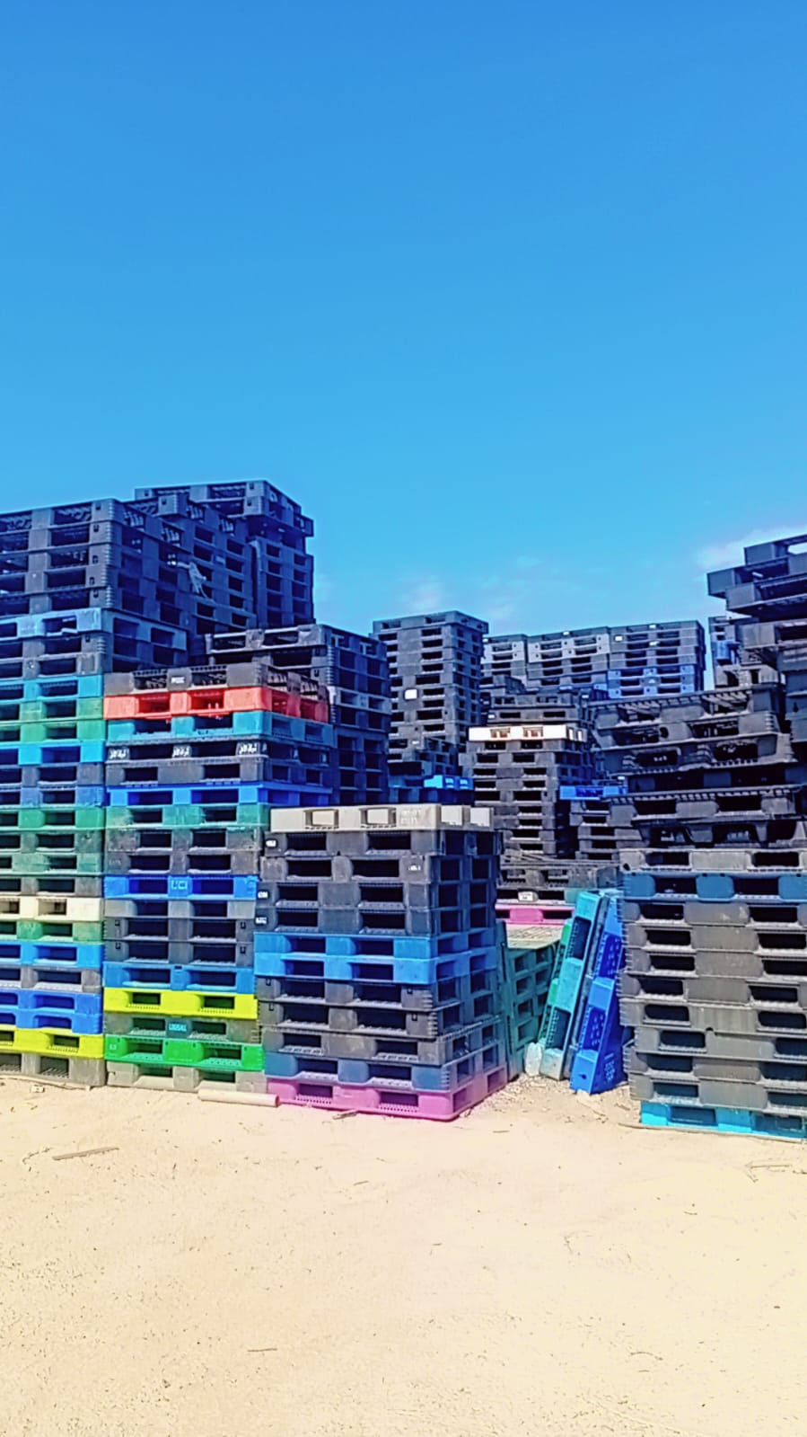 Plastic Pallet Rental